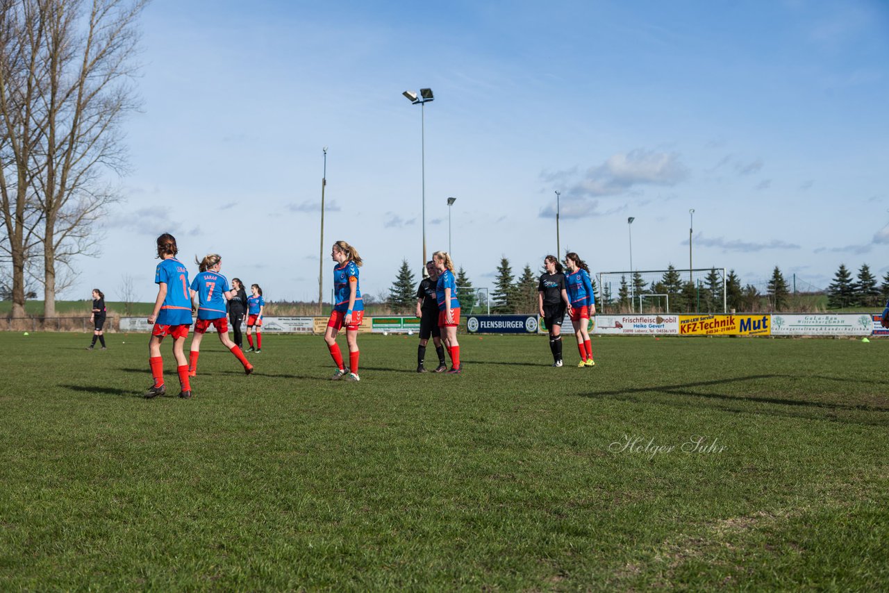 Bild 254 - C-Juniorinnen SV Steinhorst/Labenz - TSV Friedrichsberg-Busdorf : Ergebnis: 5:0